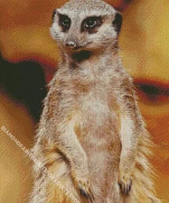 Meerkat Animal Diamond Painting