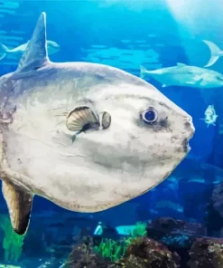 Mola Fish Diamond Painting
