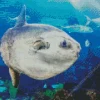 Mola Fish Diamond Painting