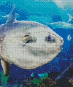 Mola Fish Diamond Painting