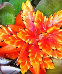 Orange Bromeliad Diamond Painting