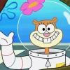 Sandy Cheeks Diamond Painting