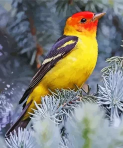 Western Tanager Bird Diamond Painting