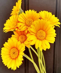 Yellow Gerbera Daisy Diamond Painting