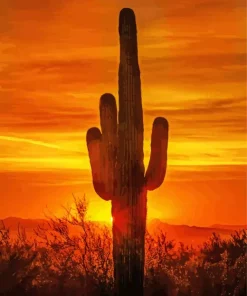 Cactus At Sunset Diamond Painting