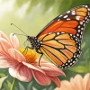 Monarch Butterfly On Pink Flower Diamond Painting