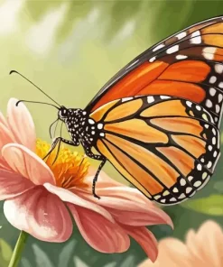 Monarch Butterfly On Pink Flower Diamond Painting
