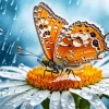 Orange Butterfly On Daisy Diamond Painting