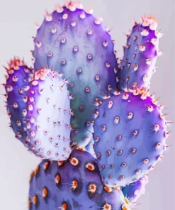 Purple Cactus Diamond Painting