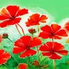 Aesthetic Geranium Art Diamond Painting
