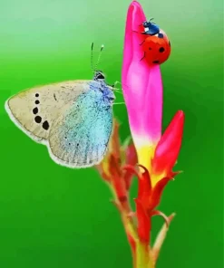 Butterfly And Ladybug Diamond Painting