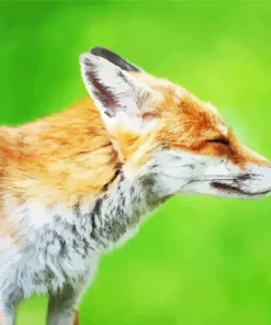 Butterfly On Fox Nose Diamond Painting