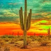 Cactus Sunrise Diamond Painting