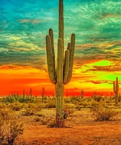 Cactus Sunrise Diamond Painting