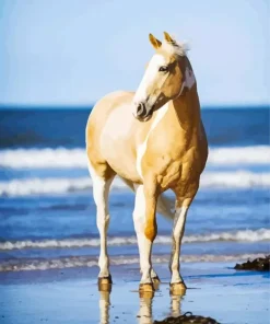 Horse Beach Diamond Painting