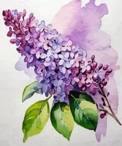 Lilac Flowers Art Diamond Painting