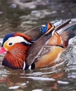 Mandarin Duck Diamond Painting