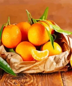 Mandarin Orange Diamond Painting