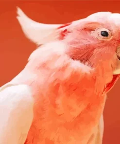 Pink Cockatoo Bird Diamond Painting