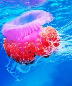 Pink Jellyfish Diamond Painting